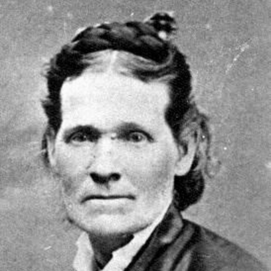 Ann Howell (1819 - 1909) Profile